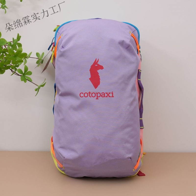 방수 컬러 블록 백팩 남녀공용 대용량 여행 가방 야외  - Women'S Bags Going Out 리뷰 및 가격