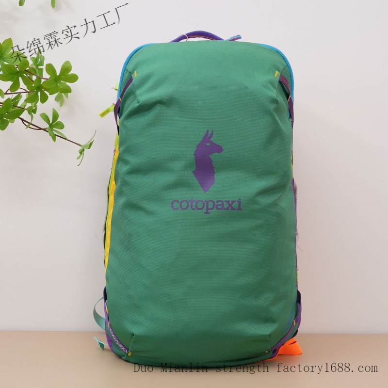 방수 컬러 블록 백팩 남녀공용 대용량 여행 가방 야외  - Women'S Bags Going Out 리뷰 및 가격