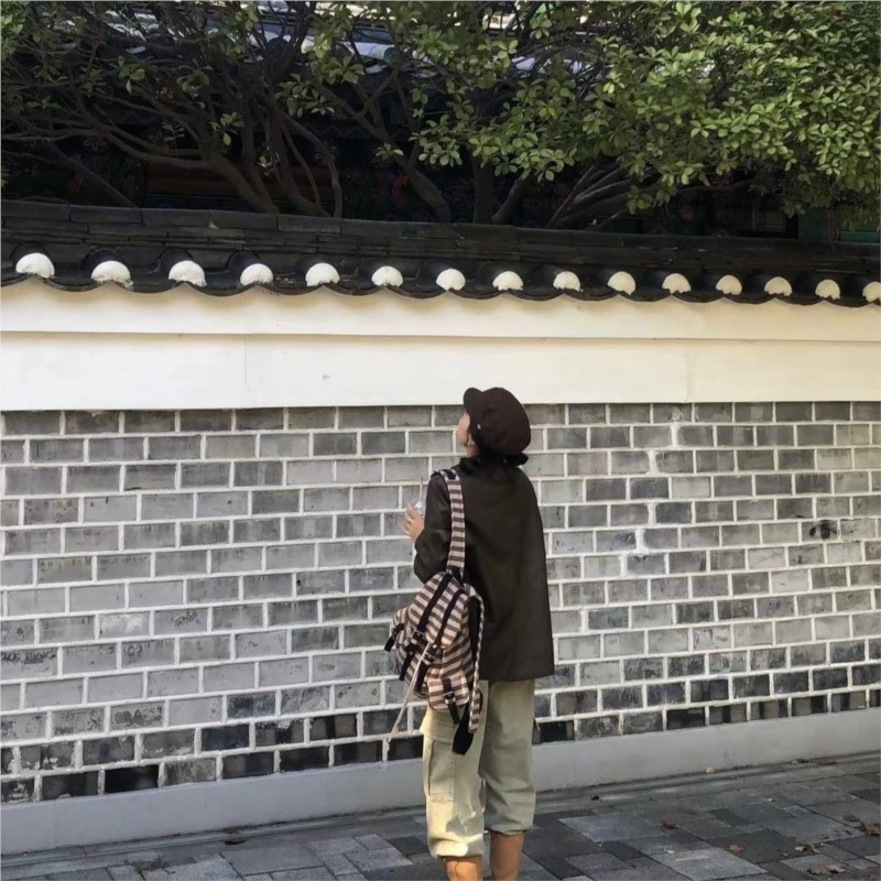 하라주쿠 빈티지 배낭 여성 독특한 컬러 블록 스트라이프 - Women'S Vegan Bags 리뷰 및 가격