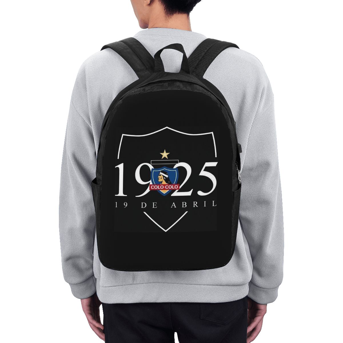 CSD COLO COLO 배낭 여행 노트북 가방 컴퓨터 - Womens Backpack 리뷰 및 가격